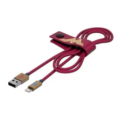 Tribe - Wonder Woman - DC Comics - Lightning USB Cable - Data Transmission and Charging Apple, iPhone - MFi Certified - 120 cm - Avvenice