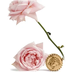 Versace - Éclat de Rose EDP - Exclusive Collection - Luxury Fragrance - 100 ml - Avvenice