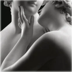 Villa Sandi - Brut - Opere Trevigiane - 6 Bottles - Wooden Silver Box - Quality Sparkling Wine - Prosecco & Sparking Wines - Avvenice