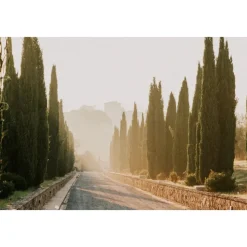 Villa Tolomei - Ala Azalea - 4 Days 3 Nights - Exclusive Luxury - Florence - Tuscany - Italy - Avvenice