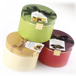 Vincente Delicacies - Panettone Coated with 70% Extra Dark Chocolate - Montezuma - Artisan in Hatbox - Avvenice