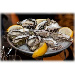 Wilde Wadoesters - Wild Oysters - 200 - Handpicked on the Wadden Sea - UNESCO World Heritage Site - Avvenice