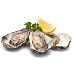 Wilde Wadoesters - Wild Oysters - 400 - Handpicked on the Wadden Sea - UNESCO World Heritage Site - Avvenice