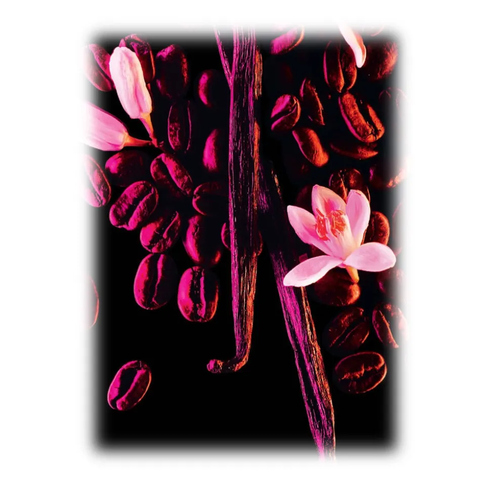 Yves Saint Laurent - Black Opium Eau De Parfum - An Addictive Black Coffee, White Florals and Vanilla - Luxury - 50 ml - Avvenice