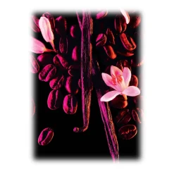 Yves Saint Laurent - Black Opium Eau De Parfum - An Addictive Black Coffee, White Florals and Vanilla - Luxury - 10 ml - Avvenice