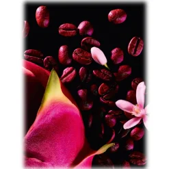 Yves Saint Laurent - Black Opium Eau de Parfum Neon - A Warm Fragrance with Coffee, Orange Blossom, & Dragon Fruit - 75 ml - Avvenice