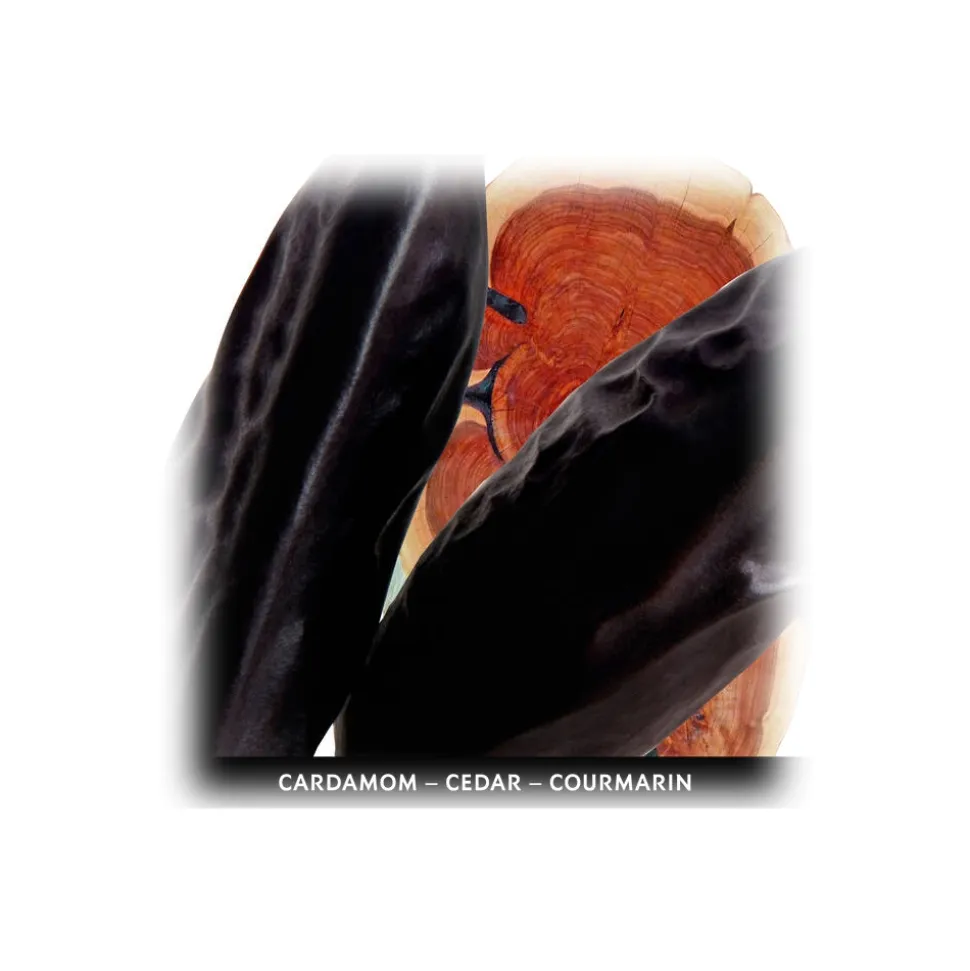 Yves Saint Laurent - La Nuit De L’Homme Eau De Toilette Spray - A Woody Fragrance with Cardomom, Iris, & Tonka Bean - 60 ml - Avvenice