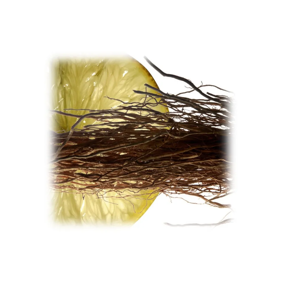 Yves Saint Laurent - L’Homme Eau De Toilette Spray - Woody Elegance, Masculine Notes and an Ambery Signature - Luxury - 60 ml - Avvenice