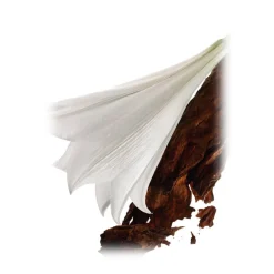 Yves Saint Laurent - Mon Paris Eau De Parfum - A New Feminine Fragrance, Inspired by Paris, The City of Love - Luxury - 30 ml - Avvenice