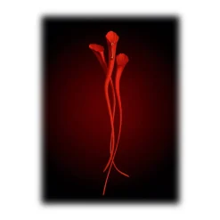 Yves Saint Laurent - Or Rouge Anti-Aging Serum - Refill - Powerful Anti-Aging - Skin Resurfacing Serum - Luxury - Avvenice