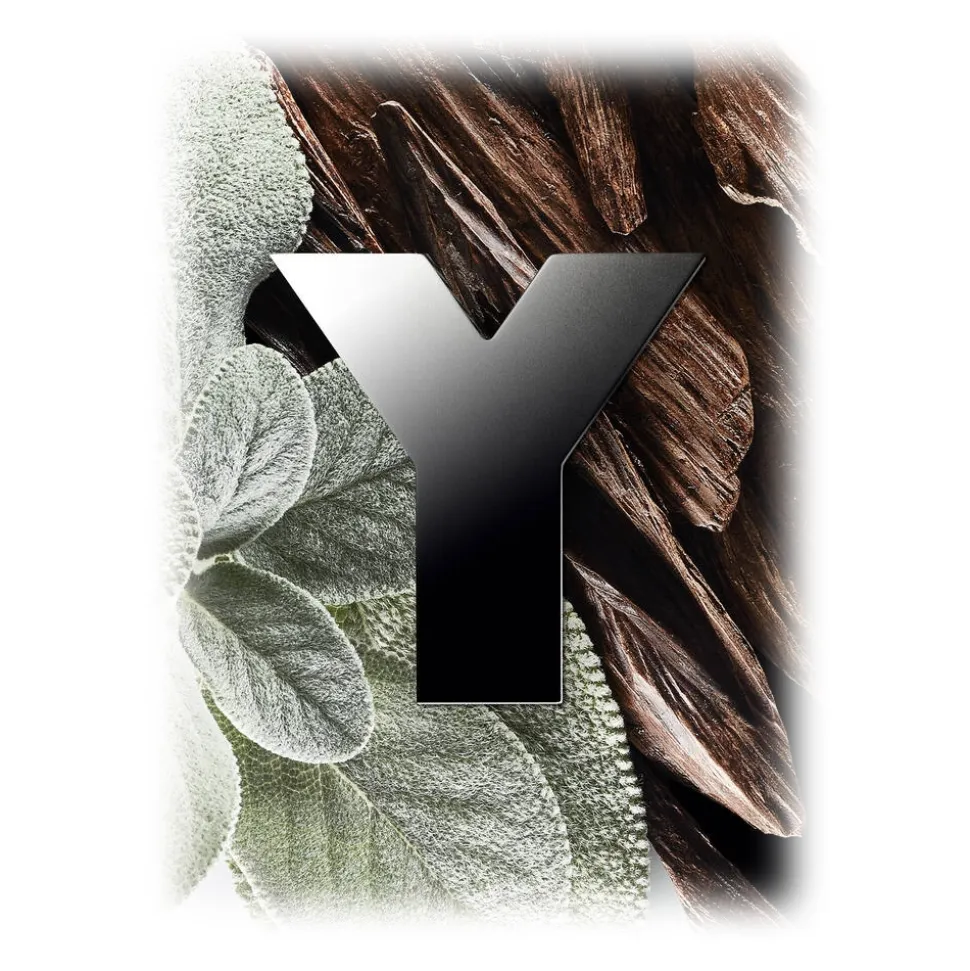 Yves Saint Laurent - Y Eau de Toilette - An Authentic and Bold Creation Masculinity Re-Defined - Luxury - 60 ml - Avvenice