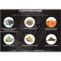 Zanin 1895 - GiuliaN Gin - Distilled - Adalet Unconventional Groove - Fabrizio Corona Official - Italian Original Botanical Gin - Avvenice