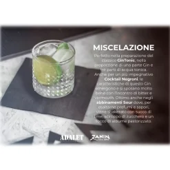 Zanin 1895 - GiuliaN Gin - Distilled - Adalet Unconventional Groove - Fabrizio Corona Official - Italian Original Botanical Gin - Avvenice